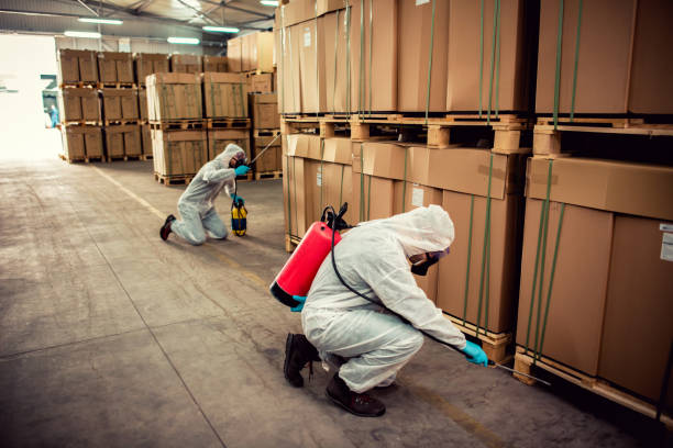 Best Pest Control Near Me in Rio Rancho, NM