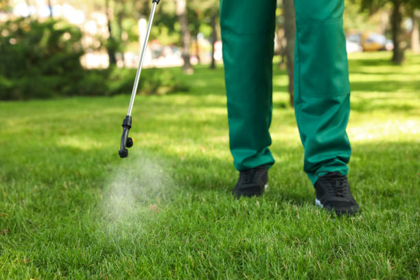 Trusted Rio Rancho, NM Pest Control Experts
