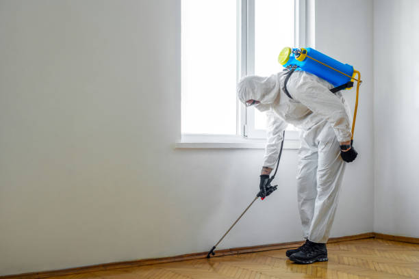 Best Mosquito Control Services  in Rio Rancho, NM