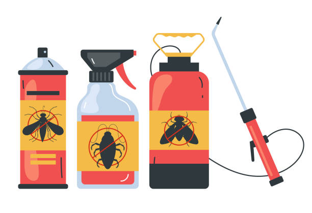 Trusted Rio Rancho, NM Pest Control Experts