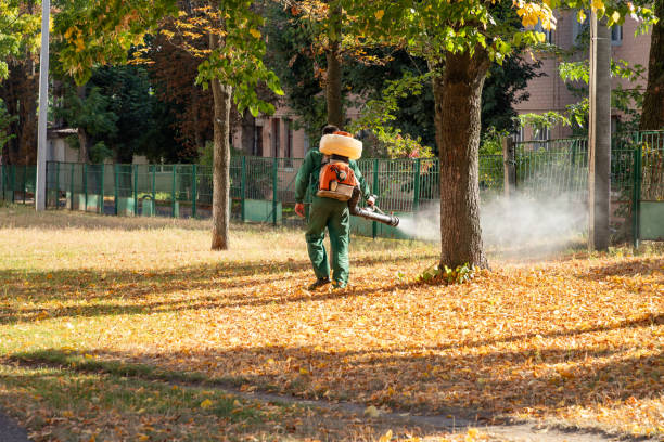 Best Pest Prevention Services  in Rio Rancho, NM