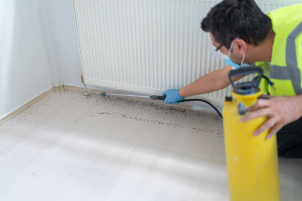 Best Pest Inspection Near Me  in Rio Rancho, NM